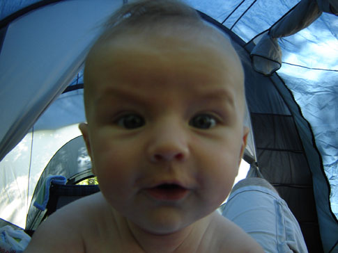 dsc02488.JPG