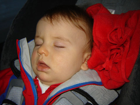 dsc03490.JPG